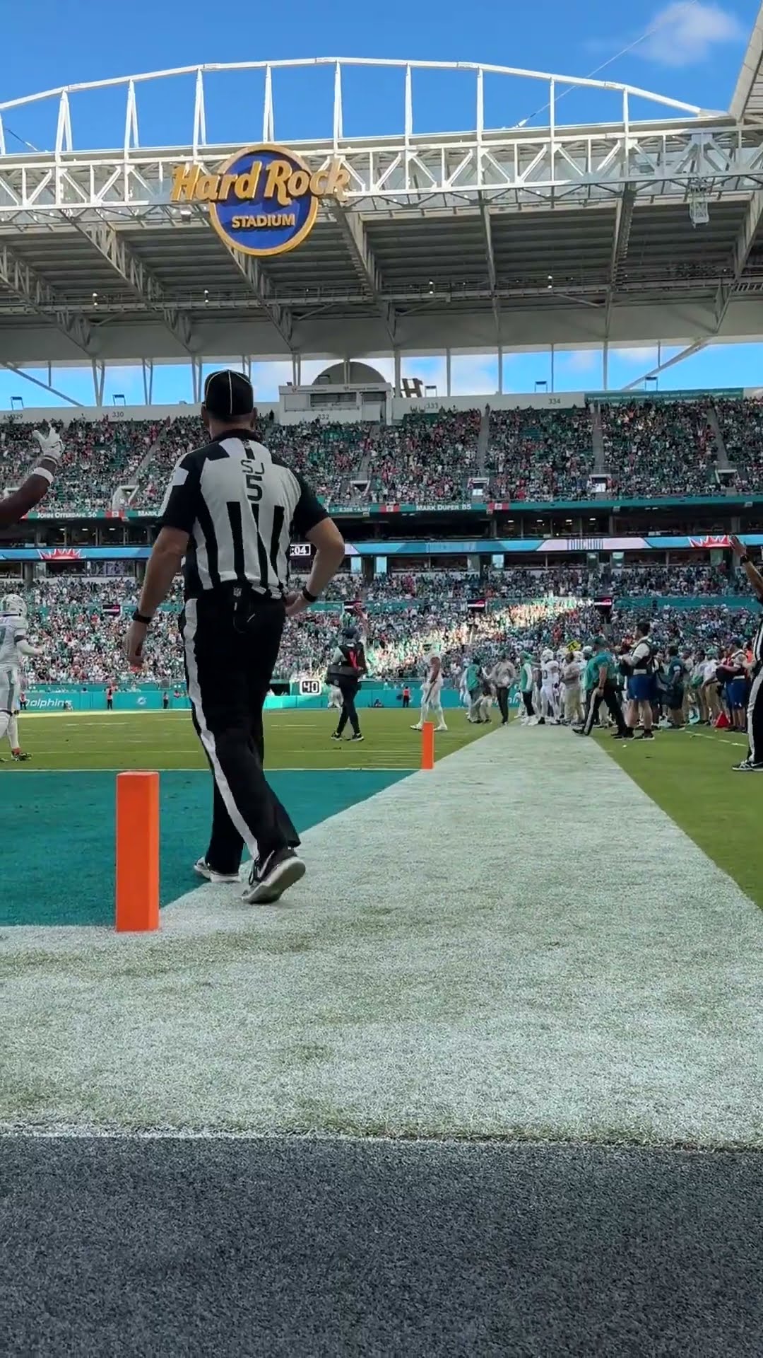 CHEETAH IN THE END ZONE! ?